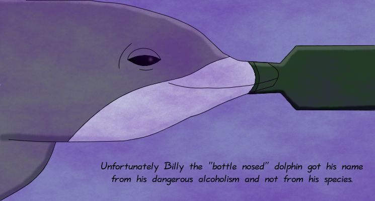 Billy The Bottle Nosed Dolphin